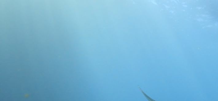 DSC06711